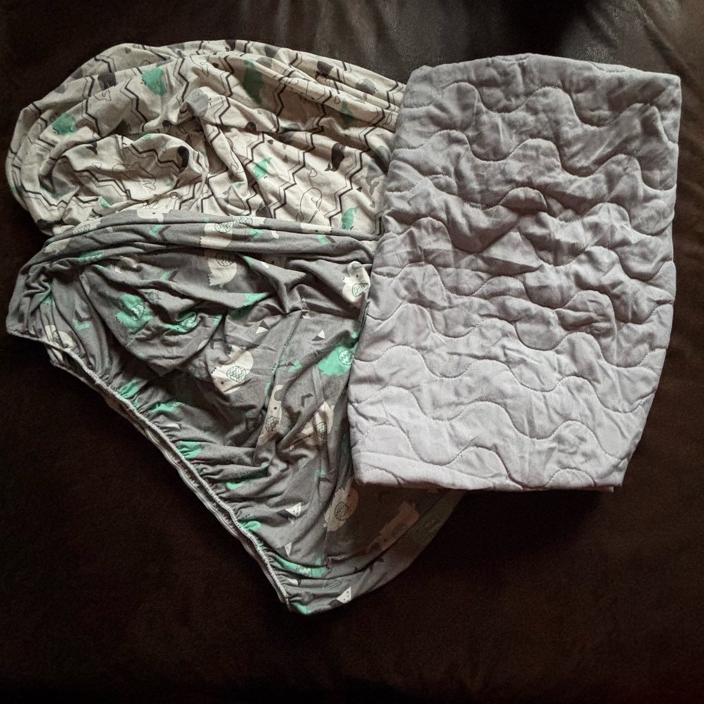 2 mini crib sheets PLUS 1 crib sheet protector
